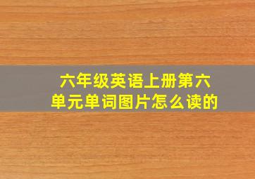 六年级英语上册第六单元单词图片怎么读的