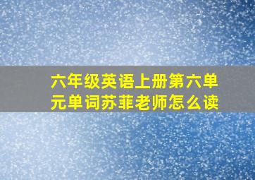 六年级英语上册第六单元单词苏菲老师怎么读