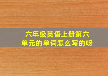 六年级英语上册第六单元的单词怎么写的呀