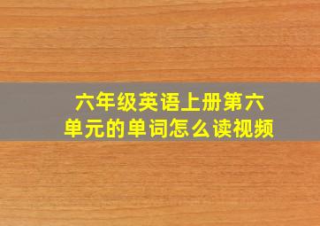 六年级英语上册第六单元的单词怎么读视频