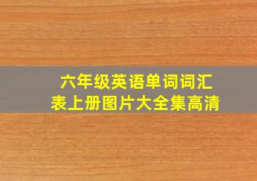 六年级英语单词词汇表上册图片大全集高清