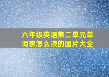 六年级英语第二单元单词表怎么读的图片大全