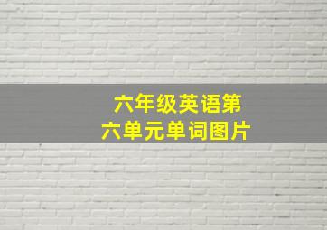 六年级英语第六单元单词图片