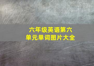 六年级英语第六单元单词图片大全