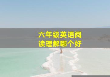 六年级英语阅读理解哪个好