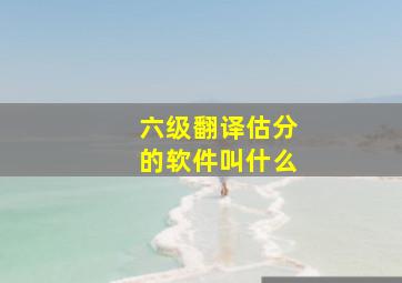 六级翻译估分的软件叫什么