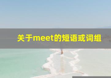 关于meet的短语或词组