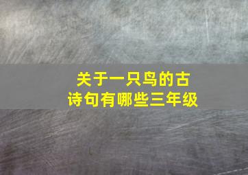 关于一只鸟的古诗句有哪些三年级