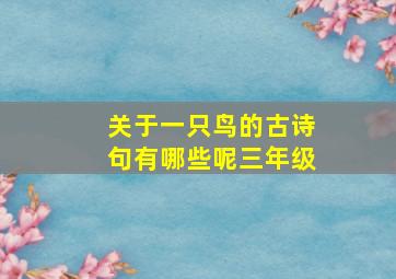 关于一只鸟的古诗句有哪些呢三年级