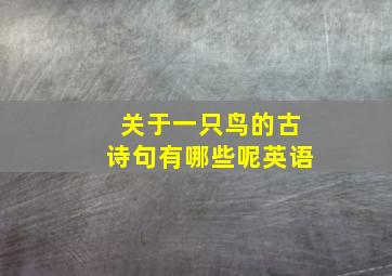 关于一只鸟的古诗句有哪些呢英语