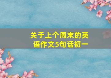 关于上个周末的英语作文5句话初一