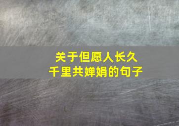 关于但愿人长久千里共婵娟的句子