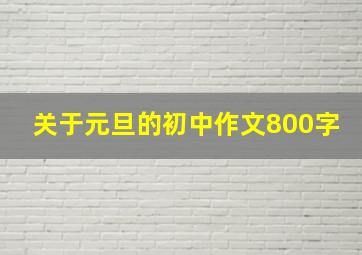 关于元旦的初中作文800字