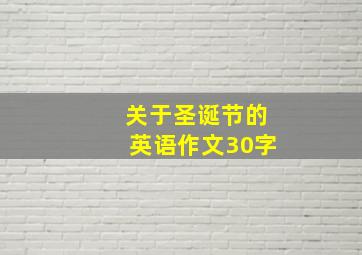 关于圣诞节的英语作文30字