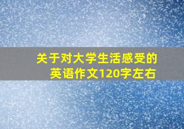 关于对大学生活感受的英语作文120字左右