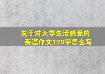 关于对大学生活感受的英语作文120字怎么写