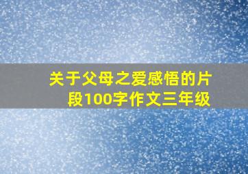 关于父母之爱感悟的片段100字作文三年级