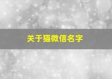 关于猫微信名字