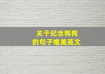 关于纪念狗狗的句子唯美英文