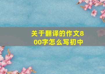 关于翻译的作文800字怎么写初中