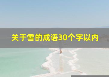 关于雪的成语30个字以内