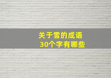 关于雪的成语30个字有哪些