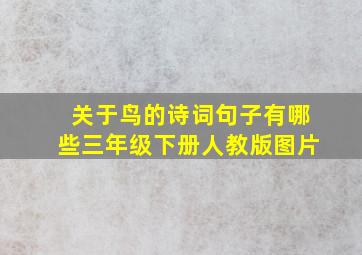 关于鸟的诗词句子有哪些三年级下册人教版图片