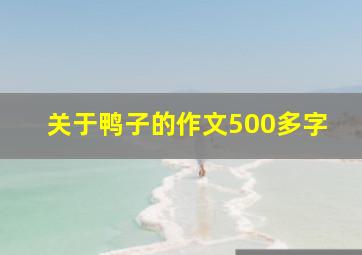 关于鸭子的作文500多字