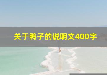 关于鸭子的说明文400字