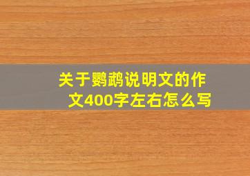 关于鹦鹉说明文的作文400字左右怎么写