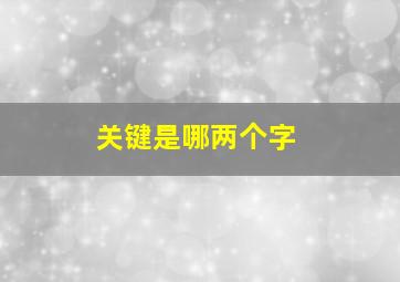 关键是哪两个字