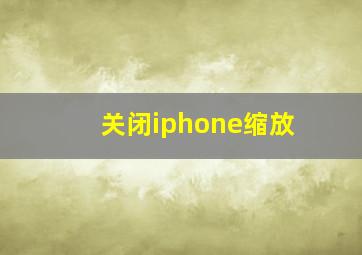 关闭iphone缩放