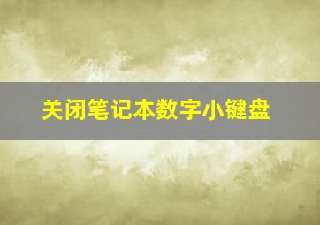 关闭笔记本数字小键盘