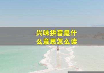 兴味拼音是什么意思怎么读