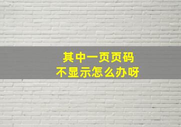 其中一页页码不显示怎么办呀