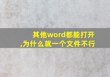 其他word都能打开,为什么就一个文件不行