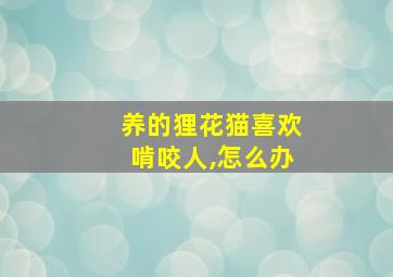 养的狸花猫喜欢啃咬人,怎么办