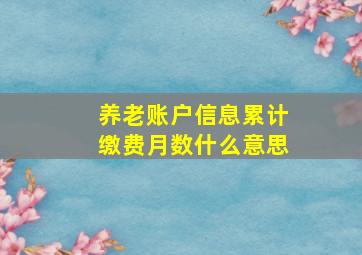 养老账户信息累计缴费月数什么意思