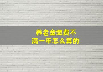 养老金缴费不满一年怎么算的