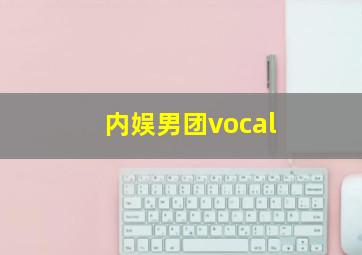 内娱男团vocal