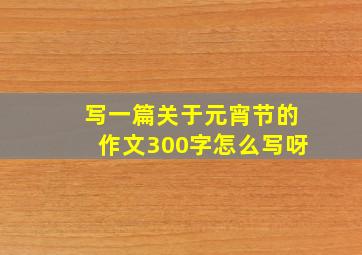 写一篇关于元宵节的作文300字怎么写呀