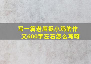 写一篇老鹰捉小鸡的作文600字左右怎么写呀