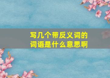 写几个带反义词的词语是什么意思啊