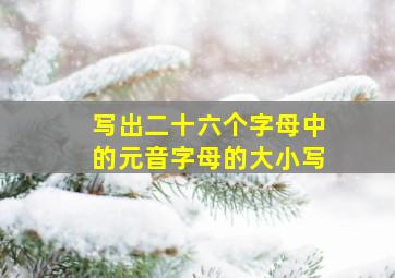 写出二十六个字母中的元音字母的大小写