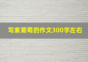 写紫葡萄的作文300字左右