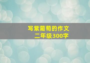 写紫葡萄的作文二年级300字