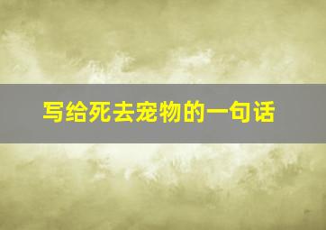 写给死去宠物的一句话