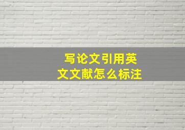 写论文引用英文文献怎么标注