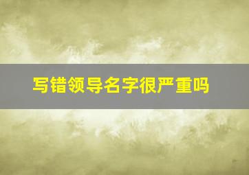 写错领导名字很严重吗