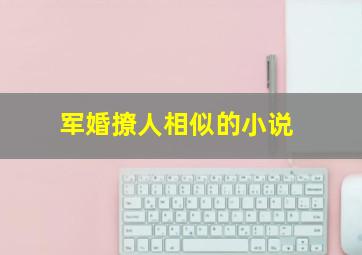 军婚撩人相似的小说